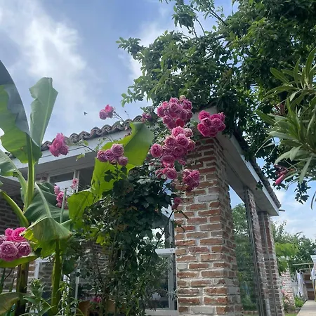 Casa Mediterana Farm stay