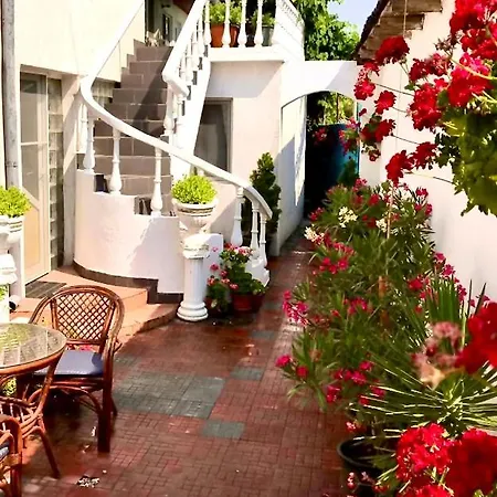 Casa Mediterana *